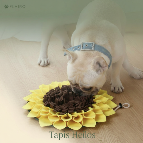 Tapis Helios